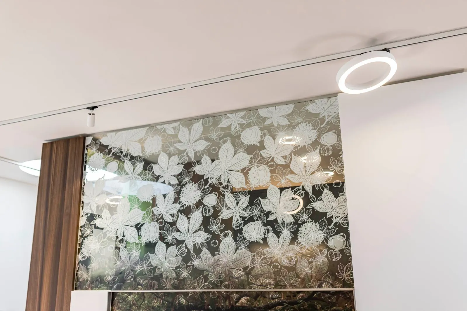 Ronde lichtring aan het plafond boven een glazen wand met bladmotief